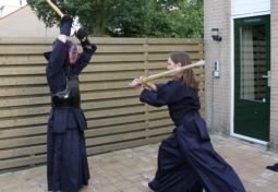 Kendo practice in the yard